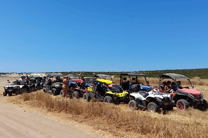 Lara Bay & Adonis Falls Quad & Buggy Tour - Lara Bay Turtle Conservation Station Swim Stop