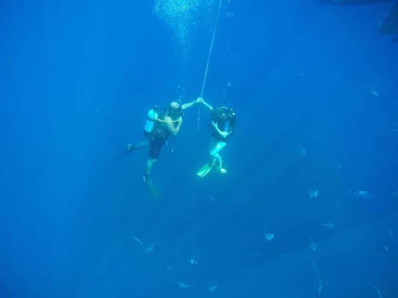 Larnaca: Private Zenobia Beginners Divers - The 3-hour flow: what happens from meet to return to shore