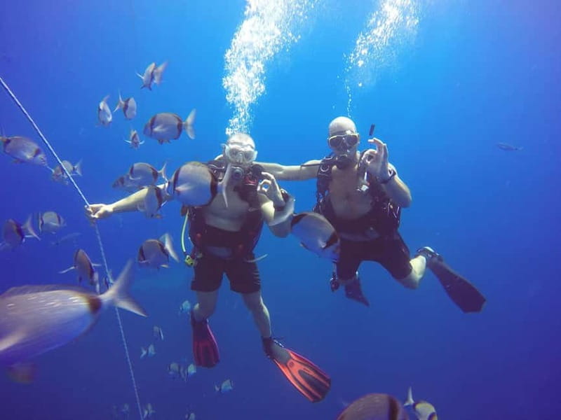 Larnaca: Private Zenobia Beginners Divers - The boat ride and the approach to the Zenobia wreck