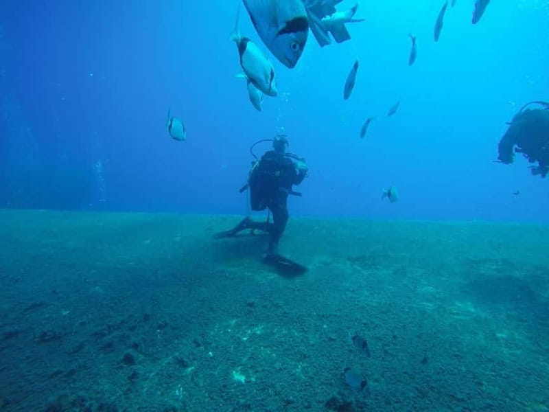 Larnaca: Private Zenobia Beginners Divers - Gear included, and what you should bring for a smooth Cyprus day