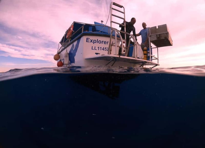 Larnaca: Snorkelling Zenobia Wreck Plus Mini Cruise - Timing on the Water: 90 Minutes to 2 Hours and a Snorkel Window That Can Vary