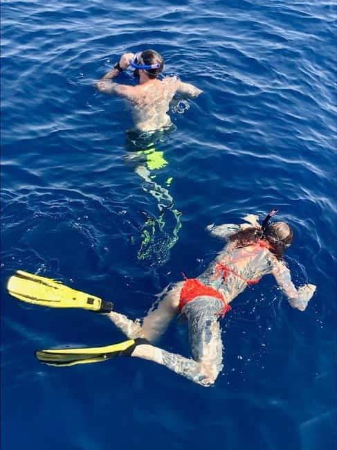Larnaca: Snorkelling Zenobia Wreck Plus Mini Cruise - When Scuba Divers Are Also in the Area: Sharing Space With Proper Priorities