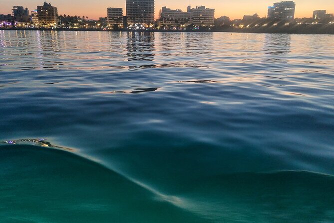 Larnaca Sunset Cruise with Unlimited Beers & Wine - What You’re Really Paying For: $30.04 for Drinks, Snorkel Gear, and Underwater Time