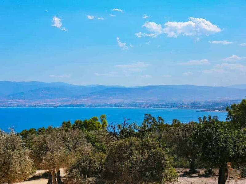 Limassol: Blue Lagoon and Aphrodite’s Birthplace Day Tour - Latchi port free time: lunch on your terms, sea air included