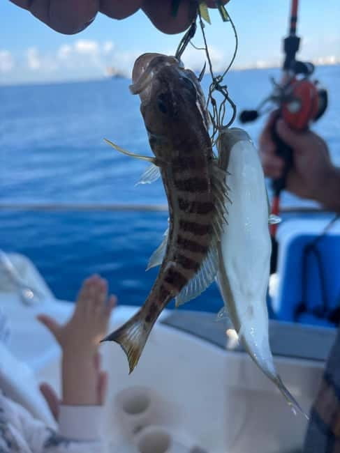 Limassol: Snorkeling trip in Limassol - Cyprus Water Temperatures, Seasonality, and What to Expect