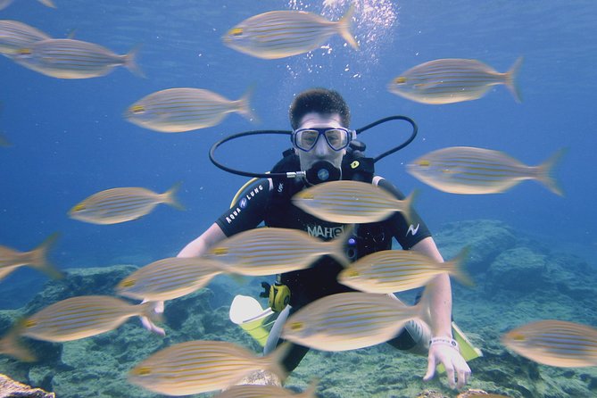 Local Guided Dives (for certified/licensed divers) - Protaras in 3 Hours: The Practical Appeal
