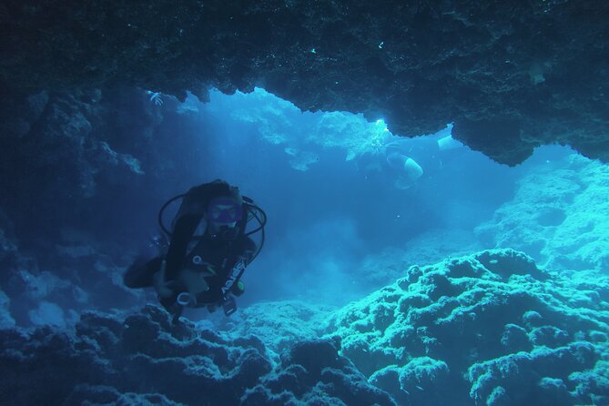 Local Guided Dives (for certified/licensed divers) - The Guide Difference: Small Group Attention and Kirin’s Style