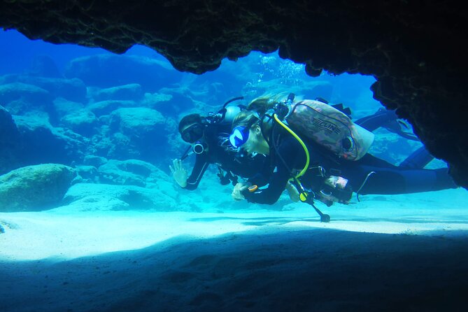 Local Guided Dives (for certified/licensed divers) - Transfers and Timing: Getting From Your Hotel to the Water