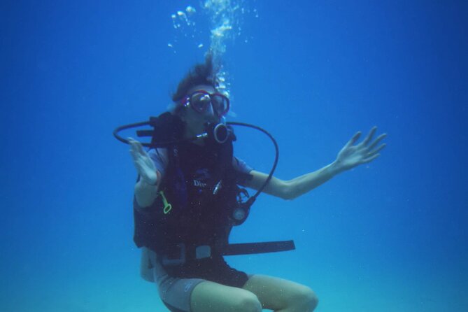 Local Guided Dives (for certified/licensed divers) - What’s Included: Gear, Photos, Coffee, and the Logbook Moment