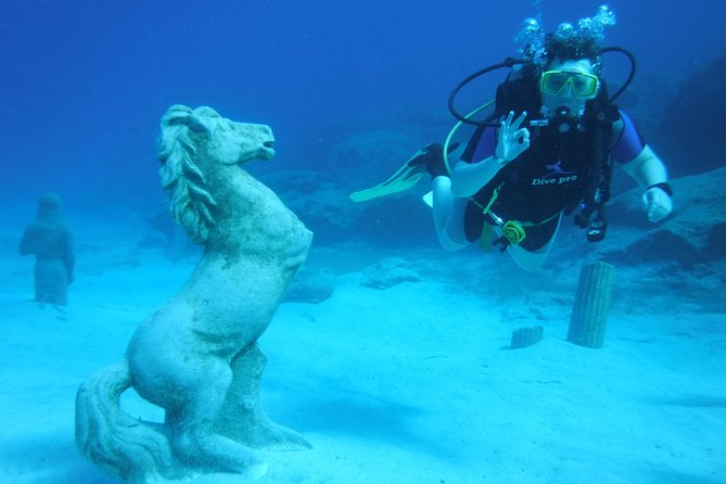 Local Guided Dives (for certified/licensed divers) - A Site-by-Site Guide for Picking Your Day