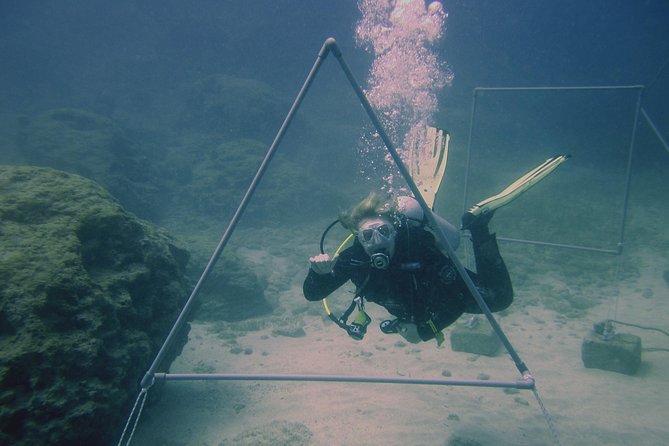 Local Guided Dives (for certified/licensed divers) - How the Morning Starts: Paperwork, Kit-Up, and a Real Briefing