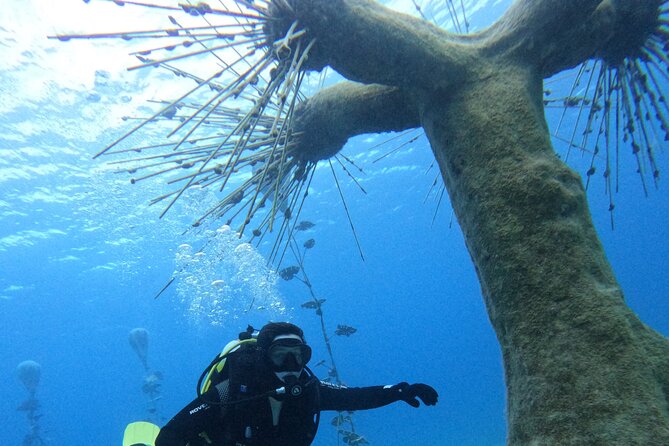 Musan Scuba Diving Private Adventure - Why Musan’s underwater sculpture museum is such a fun match for first-timers