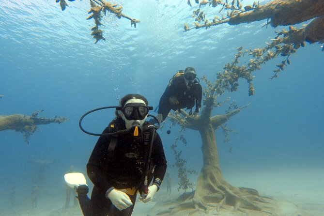 Musan Scuba Diving Private Adventure - Price and value, about $120.41 per person for a private Musan session
