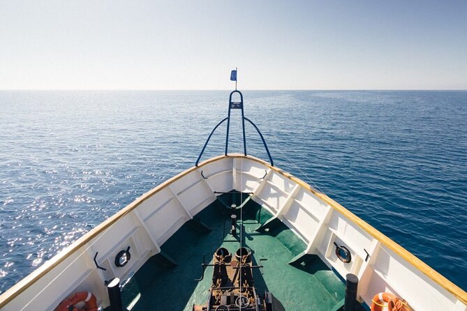 Odyssey Boat Safari from Larnaca - Snorkeling Reality Check: What You’ll Likely See