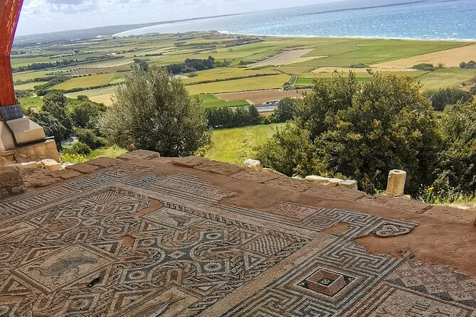 Pafos - Archaeology & Beauty tour from Limassol - Paphos Harbour Promenade: Stroll Time and a Real Meal Decision