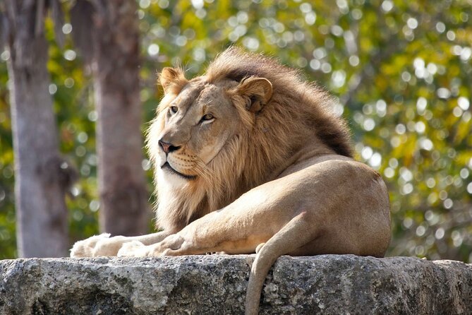 Pafos Zoo Ticket - Your self-paced route inside the zoo