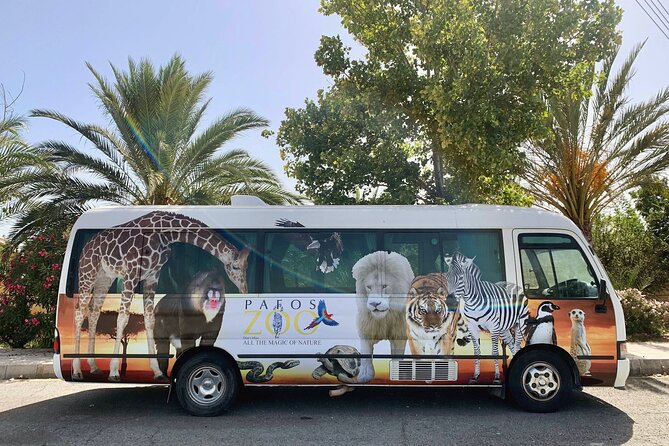 Pafos Zoo Ticket - Walking comfort, transport inside the zoo, and mobility reality