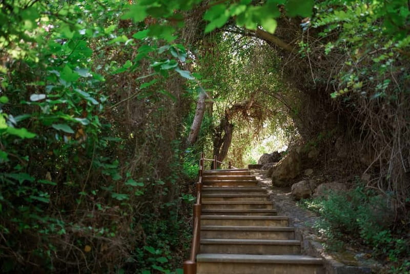 Paphos/Akamas: Blue Lagoon Bus & Boat Tour with Water Slide - From Paphos to Akamas, the day starts fast and stays paced