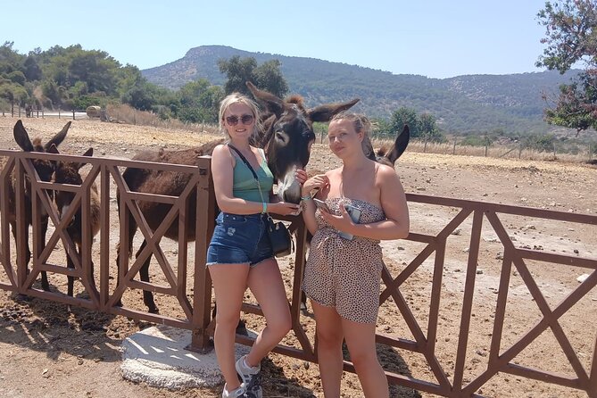 Paphos: Akamas Gorge & Turtle Bay & Donkey Farm Jeep Safari Tour - Key highlights worth your attention