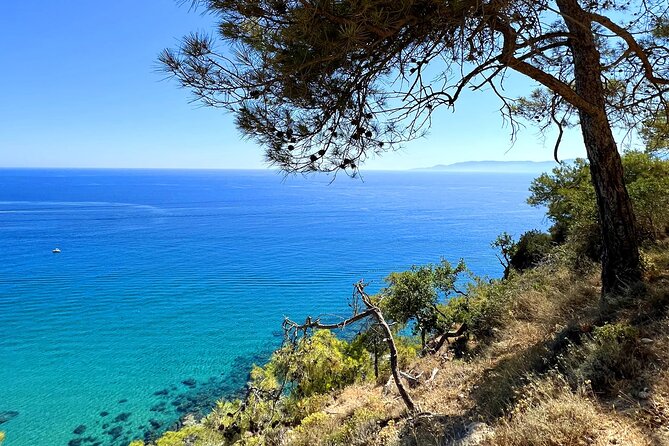 Paphos: Akamas Gorge & Turtle Bay & Donkey Farm Jeep Safari Tour - Dipotamos Donkey Farm: the feel-good highlight for many people