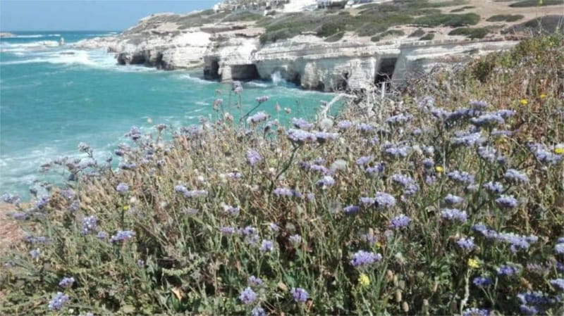Paphos: Akamas, Waterfalls & Blue Lagoon of Aphrodite Tour - Getting picked up in Paphos: where the Jeep safari starts