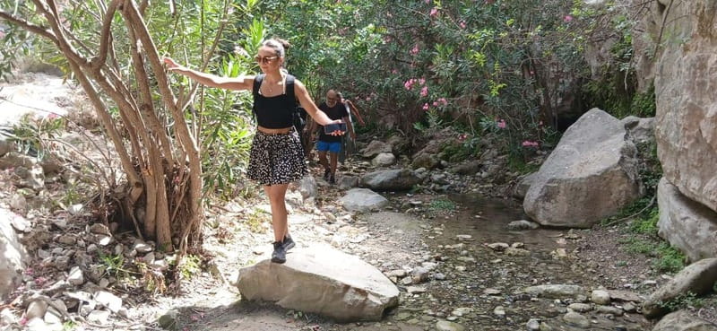 Paphos: Avakas Gorge & Turtle Bay Jeep Tour with Donkey Farm - Donkey farm time, why it becomes more than a photo stop