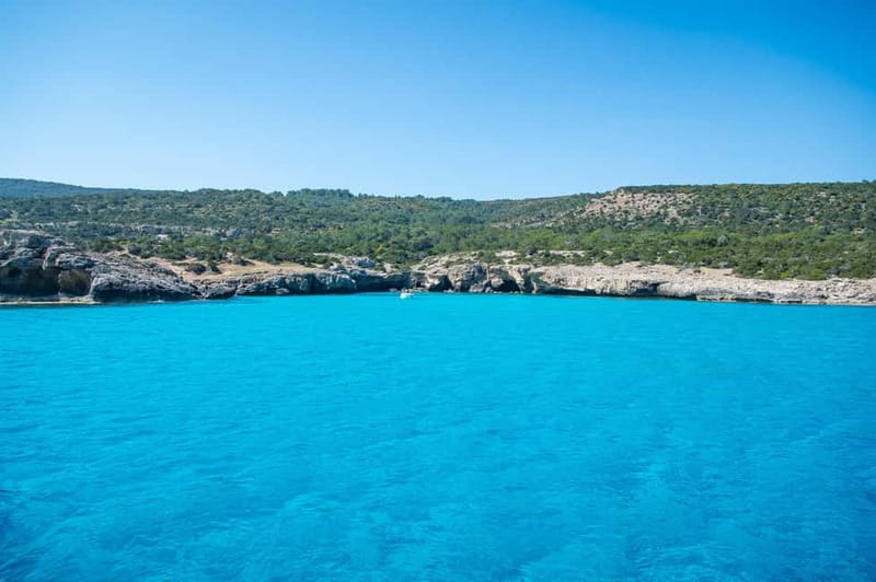 Paphos: Blue Lagoon, Aphrodite's Baths & Sea Caves Day Trip - Baths of Aphrodite and the Fountain of Love: myth, cool water, and a scenic reset