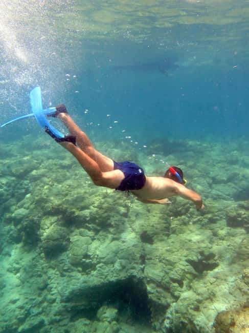 Paphos: Blue Lagoon Cruise-BBQ Lunch, Open Bar, Slide - Aphrodite Baths Pass-By Views: Pretty, Mythy, and No Big Commitment