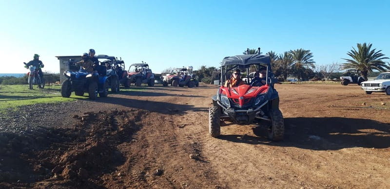 Paphos: Buggy Safari to Akamas Peninsula with Lunch - Lara Bay, Turtle Bay: swimming time and a real nature pause