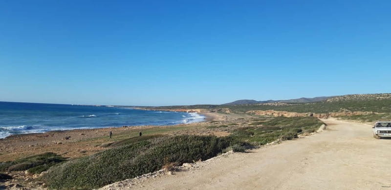 Paphos: Buggy Safari to Akamas Peninsula with Lunch - Who this buggy safari is for, and who should skip it