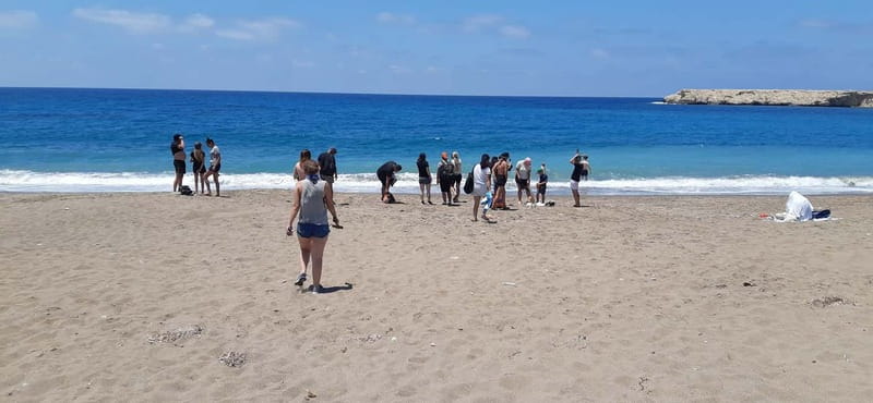 Paphos: Buggy Tour Akamas incl and Adonis Falls - Lara Bay or Turtle Bay: the swim option and the shade break