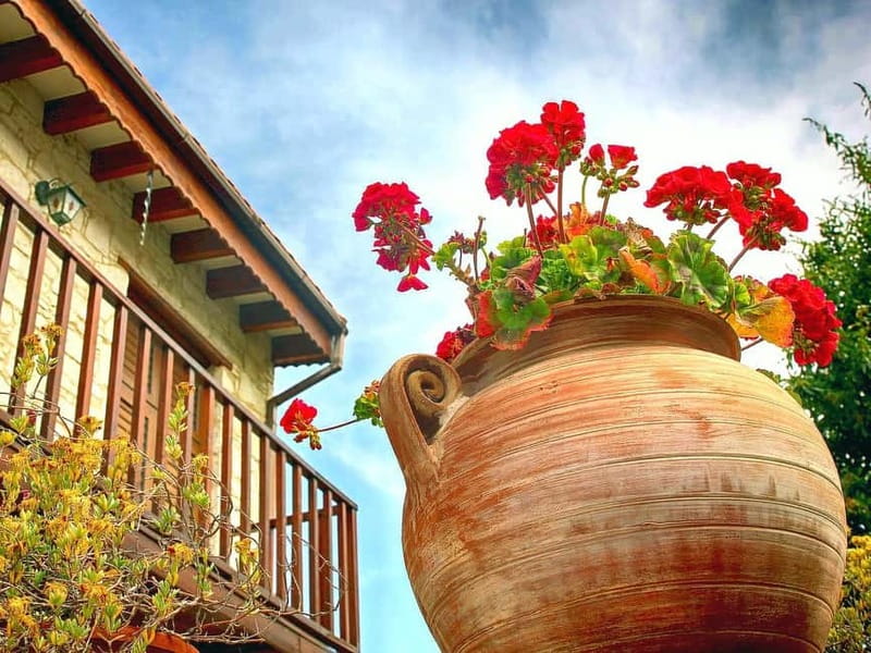 Paphos: Gourmet Cyprus Tour - Local Flavors & Wine - Lambouri Winery: Zivania, Commandaria, and wine tasting done right