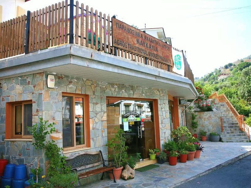 Paphos: Gourmet Cyprus Tour - Local Flavors & Wine - What the 8-hour day feels like in real life