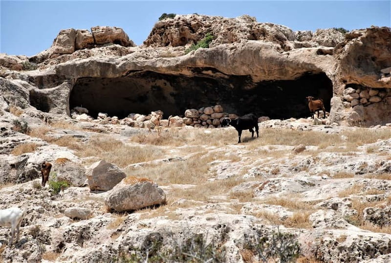 Paphos: Land Rover Jeep Safari Coastal Tour and Blue Lagoon - Baths of Aphrodite: A Legend Stop With a Walk and a Photo Moment