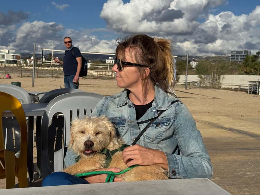 Paphos: Lighthouse Area Beach Walk with Rescue Dogs - Why a Lighthouse Walk With Rescue Puppies Works So Well