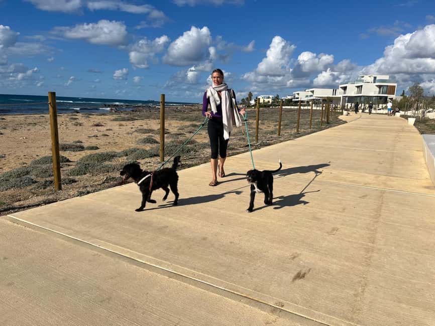 Paphos: Lighthouse Area Beach Walk with Rescue Dogs - The Short Safety Lesson That Makes the Whole Thing Feel Easy