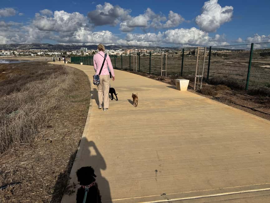 Paphos: Lighthouse Area Beach Walk with Rescue Dogs - Photos With the Puppies and the Lighthouse, Without Turning It Into a Circus