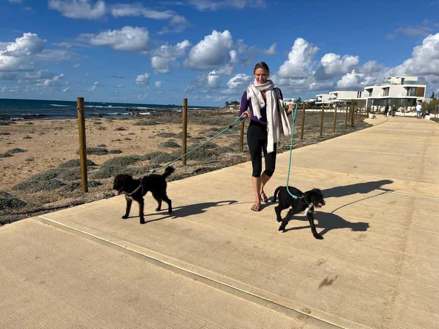 Paphos: Lighthouse Area Beach Walk with Rescue Dogs - What to Bring, What to Wear, and Simple Etiquette for Puppy Time
