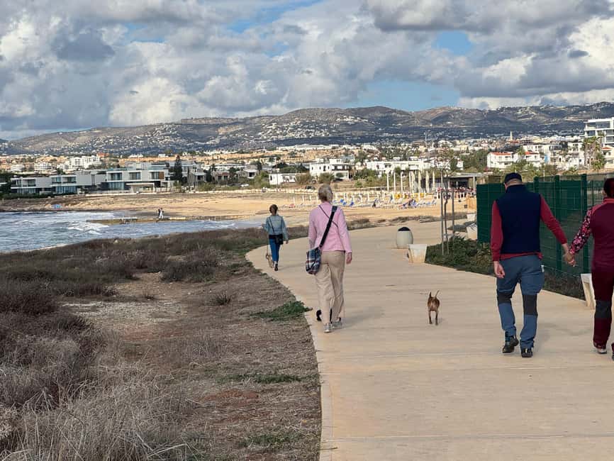 Paphos: Lighthouse Area Beach Walk with Rescue Dogs - Meeting Near the Paphos Lighthouse, Then Meeting the Foster Puppies