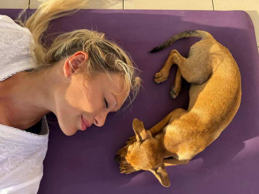 Paphos (Peyia): Mindful Yoga with Rescue Puppies - Key things to know before you go