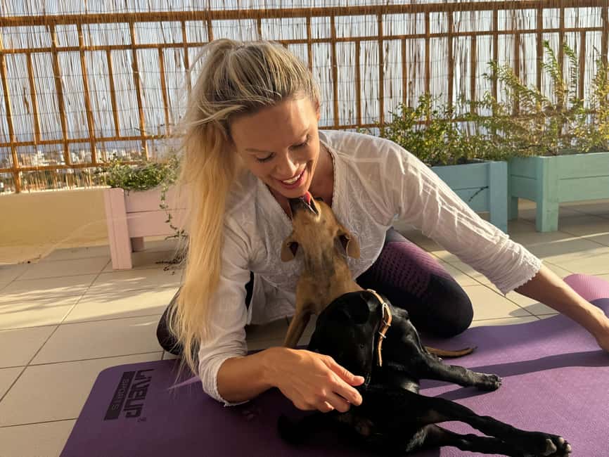 Paphos (Peyia): Mindful Yoga with Rescue Puppies - Who should book this yoga with puppies, and who might not