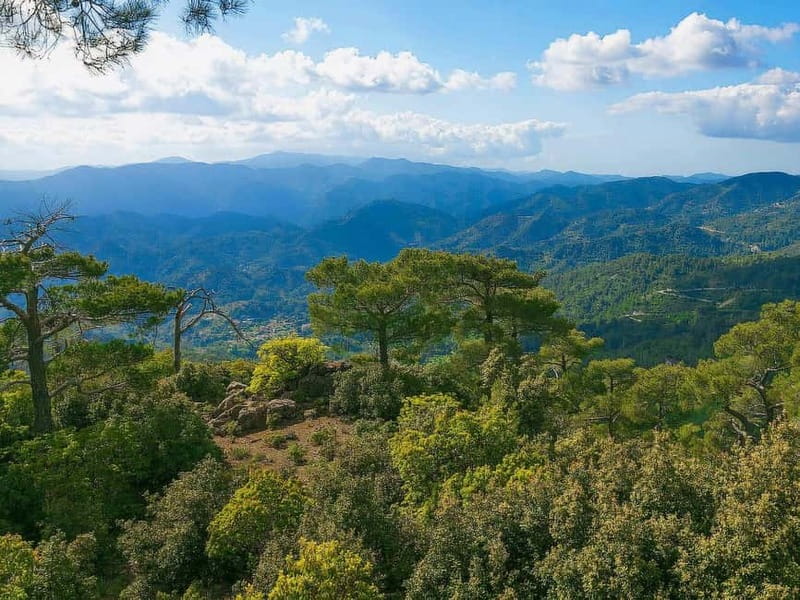 Paphos: Scenic Troodos Mountains Tour with Wine Tasting - Lambouri Winery: A focused tasting of Commandaria and Zivania