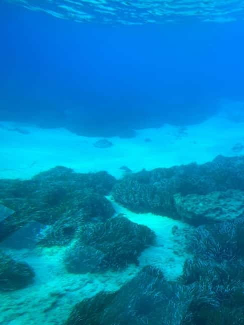 Paphos: Sunset Cruise, Turtle Watching, & Unlimited Drinks - Vera K Shipwreck and the Reef of Paphos, Seen Up Close