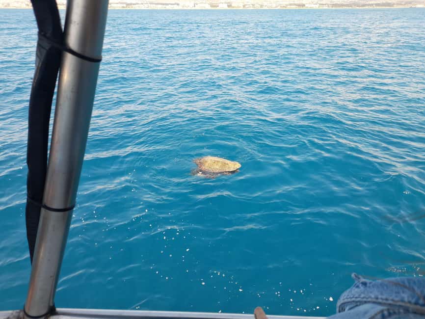 Paphos: The Yellow Glass-Bottom Boat Cruise Swim & Snorkel - Practical Tips Before You Book This Water Day