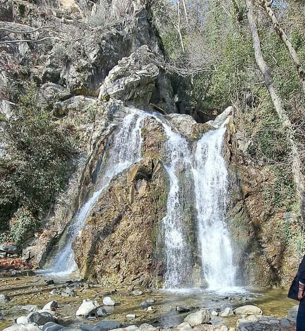 Paphos: Troodos Mountains Jeep Tour with Wine Tasting - Troodos Viewpoint Driving and Off-Road Forest Time
