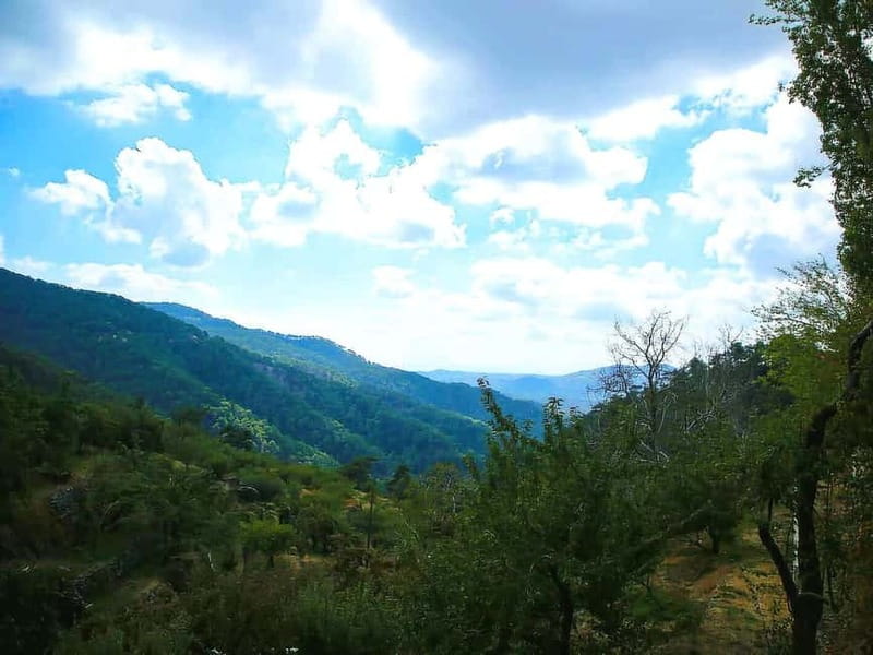 Paphos: Troodos, Omodos & Kykkos Monastery Full-Day Tour - Key highlights at a glance