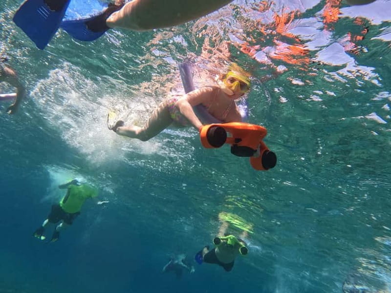 Paphos: Turtle-Watching Snorkeling Sea Scooter Trip - Beyond Turtles: The Other Marine Life That Can Steal the Show