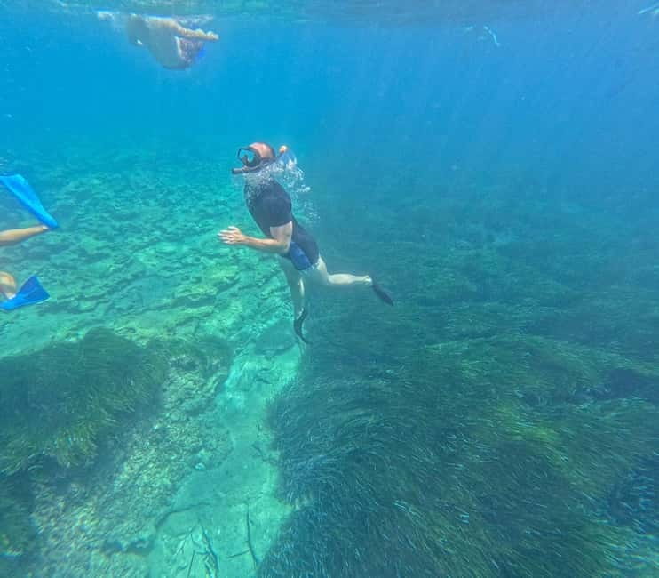 Paphos: Turtle-Watching Snorkeling Sea Scooter Trip - Gear, Water, Fruit, and the Small Details That Add Up