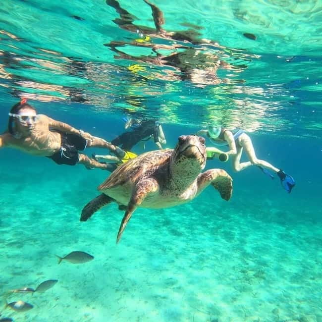 Paphos: Turtle-Watching Snorkeling Sea Scooter Trip - The 210 Minutes: From Tombs of the Kings to the Bay and Back