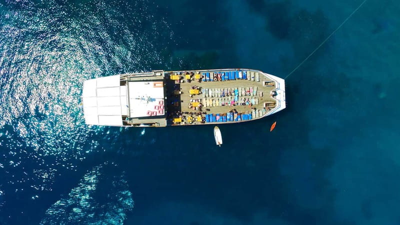 Paphos: Wave Dancer Half-Day Cruise with BBQ and Open Bar - Price and Value: Is $81 Actually a Good Deal?